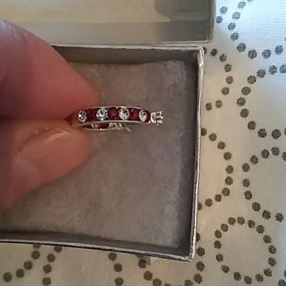 Garnet birthstone silver plated earrings